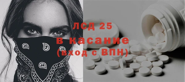прущие грибы Михайлов