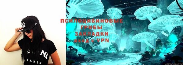 МДПВ Навашино
